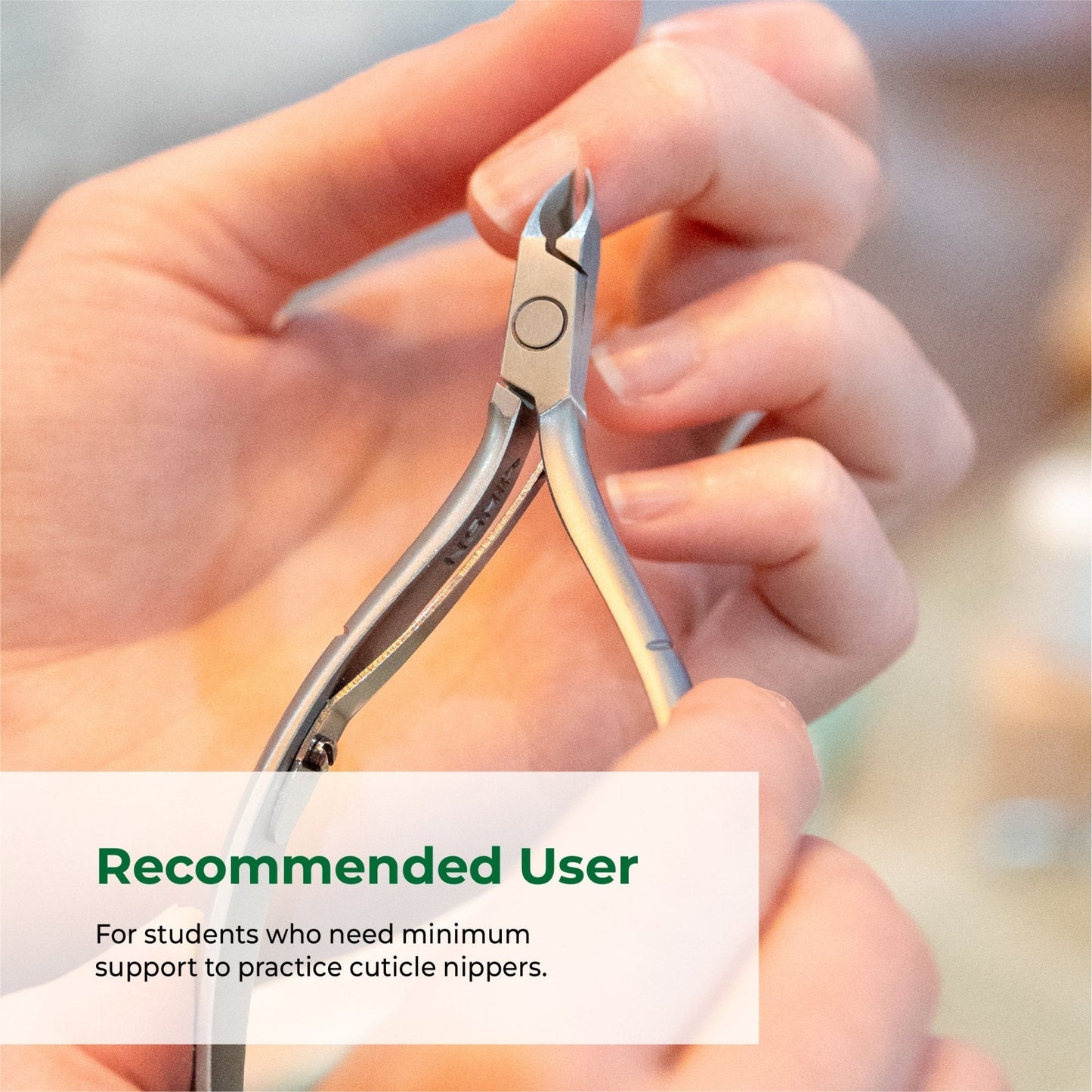 Cuticle Nipper - D-01 (Stainless Steel) - The Salon Partner