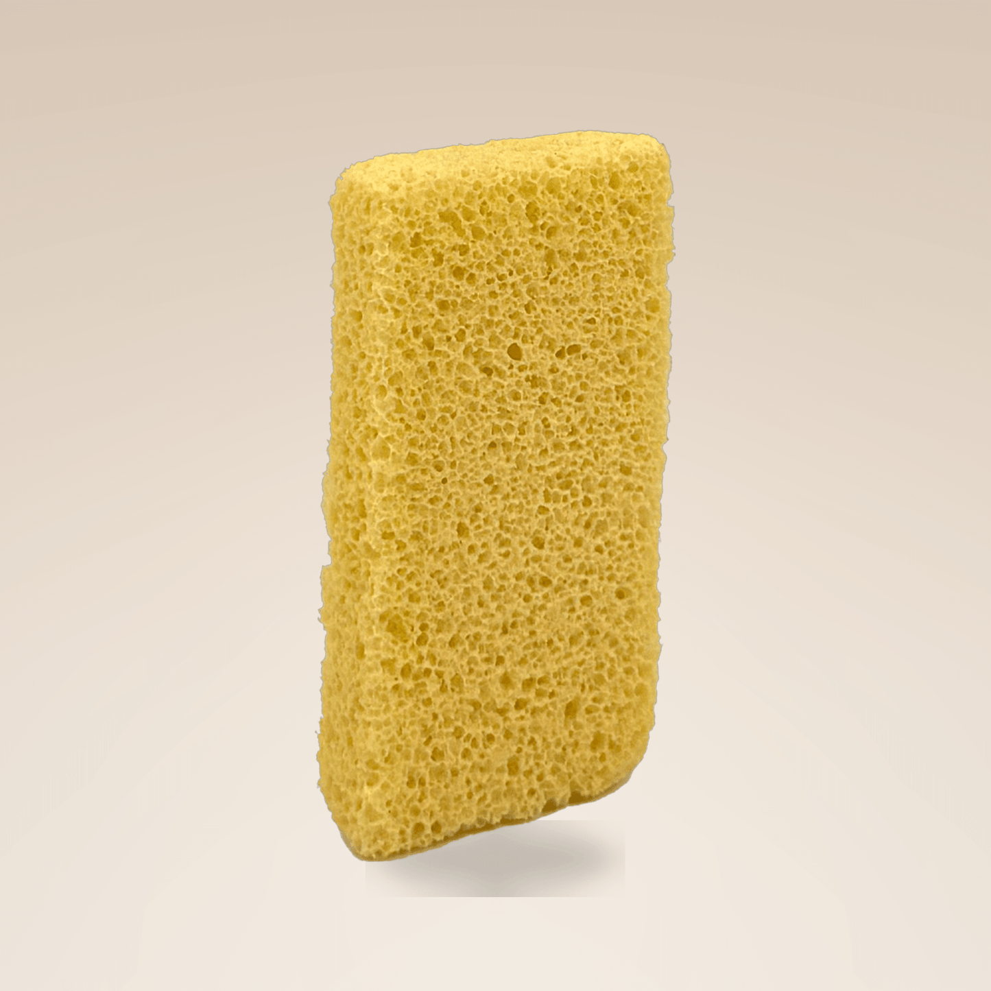 Pro-Pumice Mini X - Medium Grit - W.S. Industries, Inc.