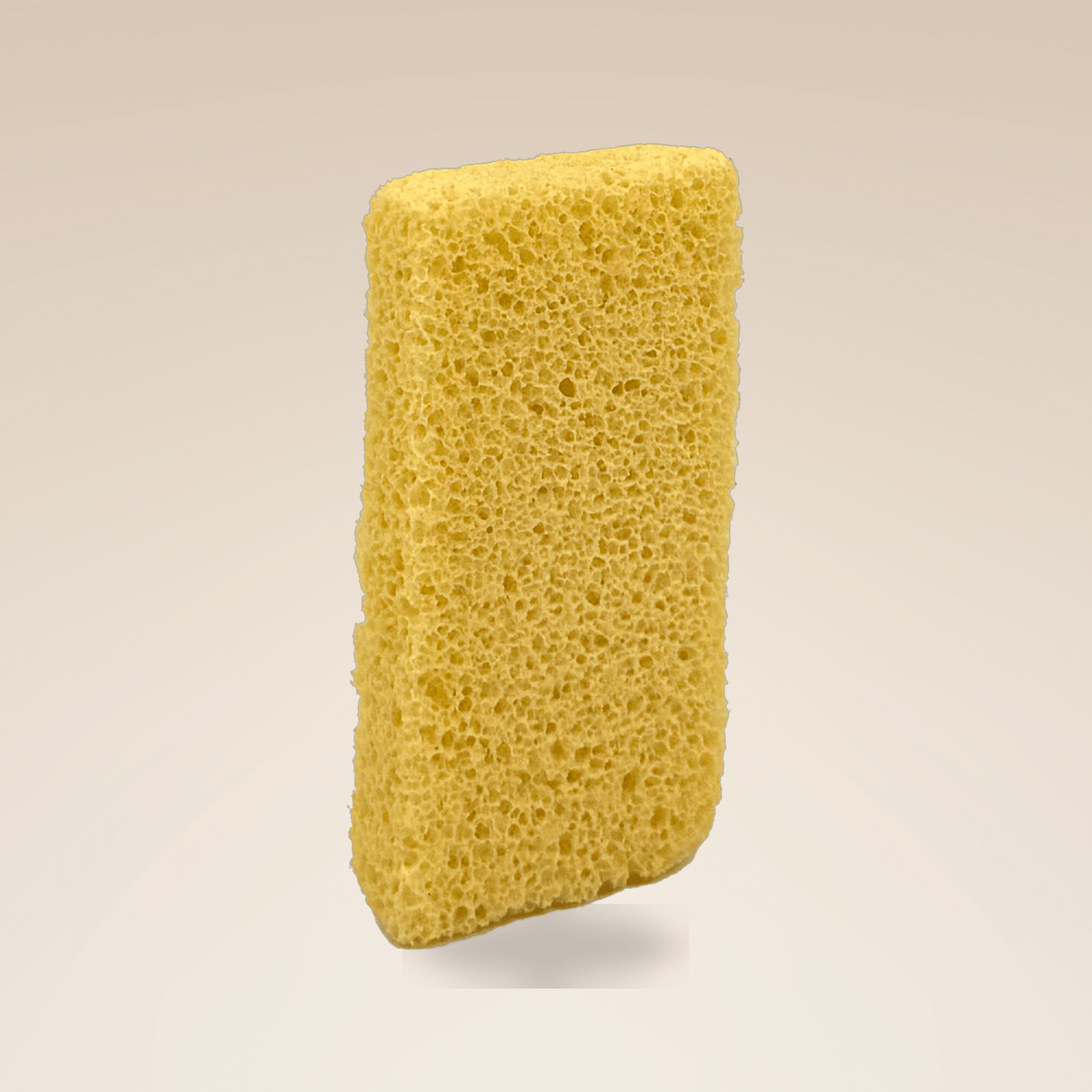 Pro-Pumice Mini X - Medium Grit - W.S. Industries, Inc.