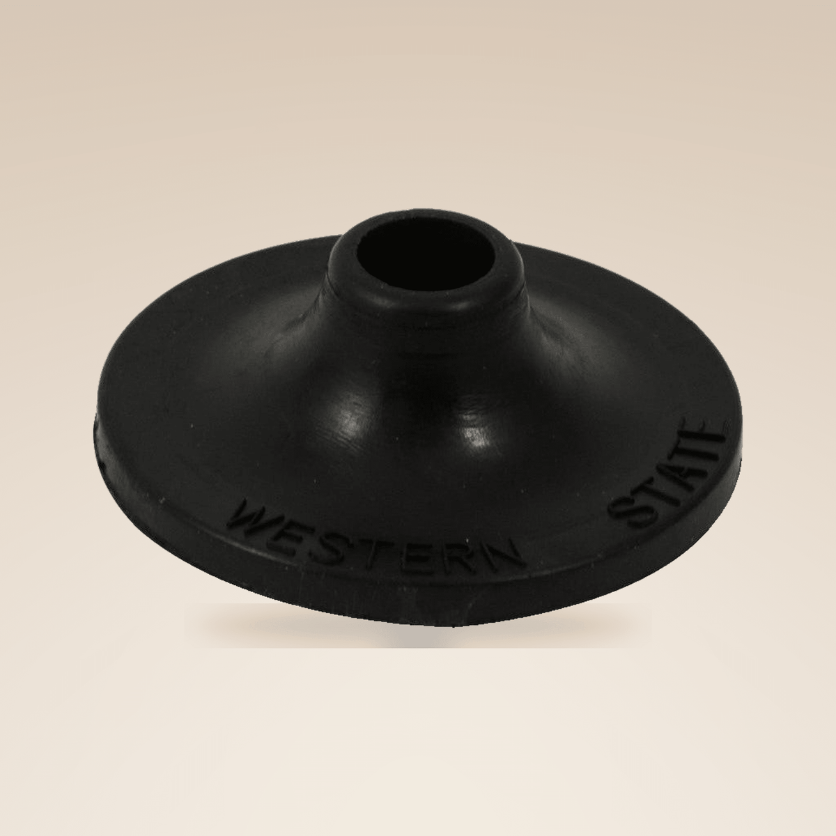 Sanding Disk Attachment - W.S. Industries, Inc.